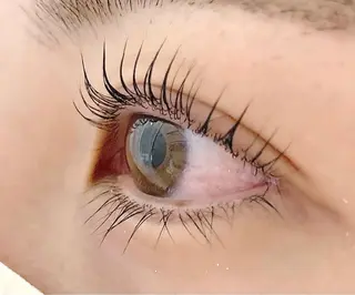 ãããšã¯ã»ããã MI YAððžðã®ãããšã¯ã»ããããã¶ã€ã³