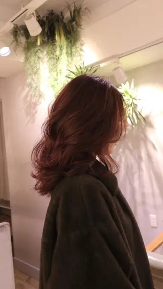 カラー 来美 / クルミのヘアスタイル