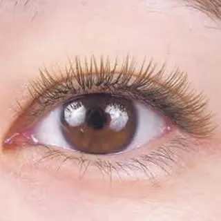 マツエク・マツパ felim 塚口店所属・松元 綾のマツエク・マツパデザイン