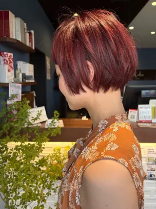 ショート ✨白髪ぼかし 🍀MINAKO☆のヘアスタイル