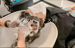 ハイトーン/カラー/ 用賀/稲若健太郎のヘアスタイル