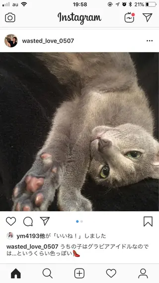 ショート カラー パーマ ヘアアレンジ メンズ キッズ ネイル マツエク・マツパ アニメ,Vオタク× 即効痩せエステサロンのエステ・リラクイメージ