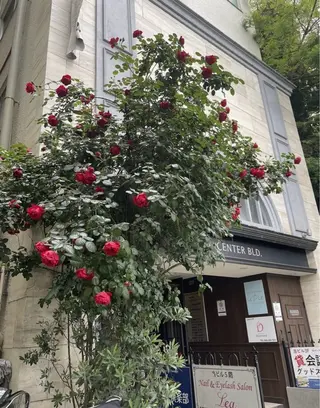 ネイル ネイルサロン サヤのネイルデザイン