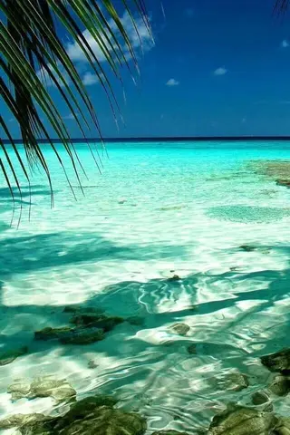 𝐘𝐎𝐒𝐇𝐈 𝐌𝐈🌞🏝のマツエク・マツパデザイン