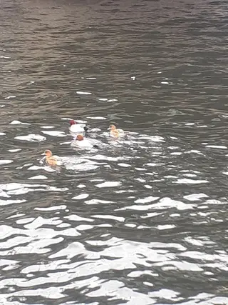 千の樹所属・久保 美咲(女性専用)のエステ・リラクイメージ