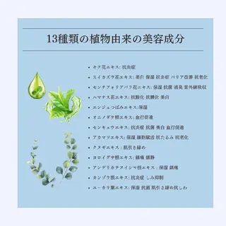 Rubble所属・Rubble 菊田のマツエク・マツパデザイン