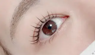 マツエク・マツパ 【那覇/束感まつ毛】 ｷｬﾒﾙのマツエク・マツパデザイン