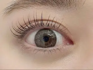 マツエク・マツパ Favori 平野のマツエク・マツパデザイン