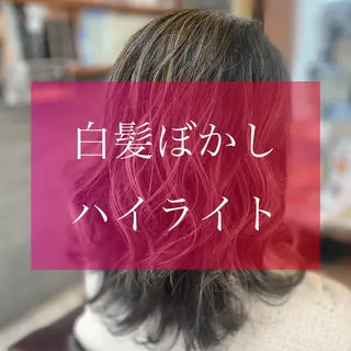 セミロング 加藤 実穂のヘアスタイル