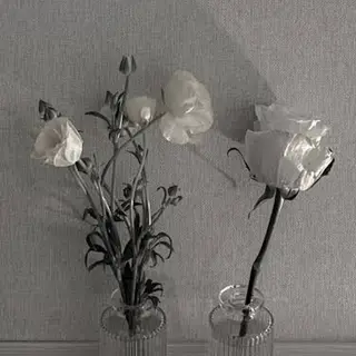 feliz eyelash所属・おざき ゆきののマツエク・マツパデザイン