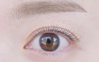 マツエク・マツパ Elysian マツエクサロンのマツエク・マツパデザイン