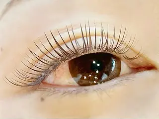 マツエク・マツパ まつ毛・眉/ 練習＆モニター専用のマツエク・マツパデザイン