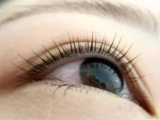 マツエク・マツパ Plume micoのマツエク・マツパデザイン