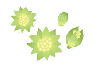 岩崎 .のエステ・リラクイメージ