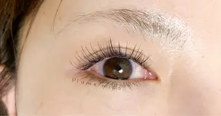 マツエク・マツパ Plume micoのマツエク・マツパデザイン