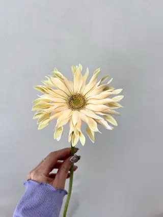 ロング カラー 暖色カラー／ ヘアセット🌛櫻井舞のヘアスタイル