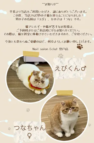 Eclat登戸店 ネイルサロンエクラのネイルデザイン