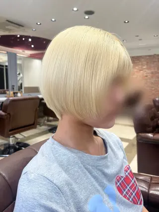 ショート 鳥見 若菜のヘアスタイル