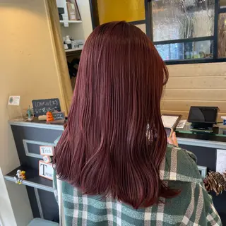 セミロング カラー スナコザワ レナのヘアスタイル