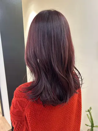 セミロング カラー hub hair レイヤー/透明感のヘアスタイル