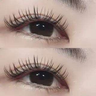 マツエク・マツパ LA CLARTÉ所属・京橋駅スグ🩷🦖 -LaCLARTE-のマツエク・マツパデザイン