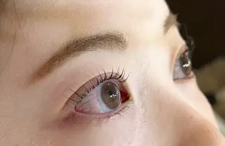 マツエク・マツパ eyelush&eyebrow MOI所属・eyelush MOI🕊のマツエク・マツパデザイン
