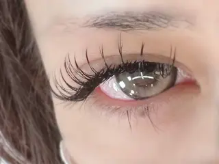 マツエク・マツパ 【felice】 Takahashiのマツエク・マツパデザイン