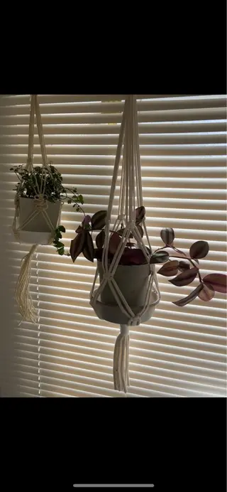 マツエク・マツパ loji所属・ナチュラル眉サロン 🌿lojiロジの眉毛・アイブロウイメージ