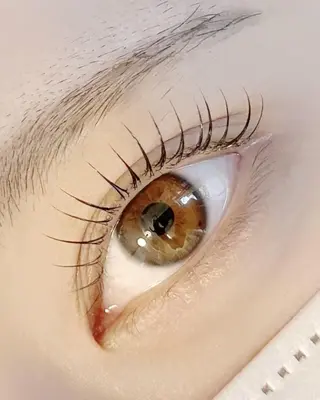 マツエク・マツパ lieu pré eyelashの眉毛・アイブロウイメージ