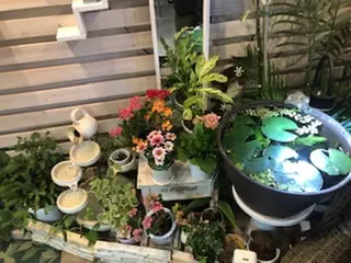 中井 日出子のマツエク・マツパデザイン