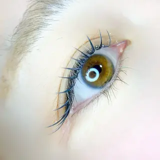 マツエク・マツパ PETALE所属・PETALE ペタルのマツエク・マツパデザイン