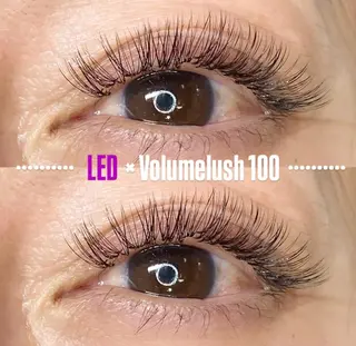 マツエク・マツパ LEDエクステ専門店 Fedis 京橋のマツエク・マツパデザイン