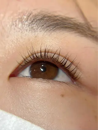 パーマ マツエク・マツパ PRIMO🐈🌱 マツパ/黒ティントのマツエク・マツパデザイン