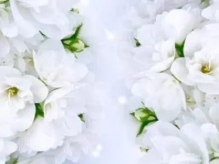 ロング Maison de Day&Night所属・Day&Night kanaのヘアスタイル