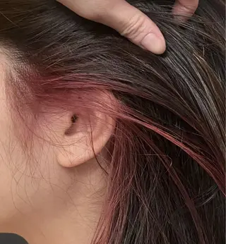 ミディアム カラー エルベスアクト志木店 SHIINAのヘアスタイル