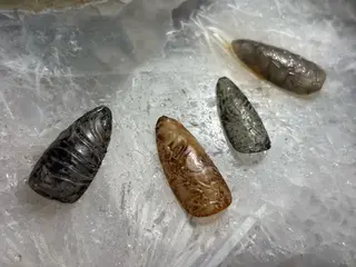 ネイル 個性派NANA ネイルのネイルデザイン