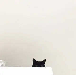 oyanagi 〰️の眉毛・アイブロウイメージ