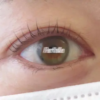 マツエク・マツパ farfalla mikaのマツエク・マツパデザイン