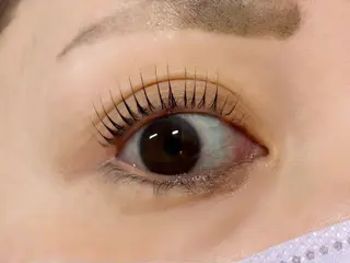 マツエク・マツパ Lupinus 長澤のマツエク・マツパデザイン