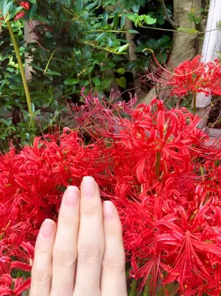 ロング ネイル ハンドケア&ネイルケア桃の木所属・ケアリスト🍀 マリユキのネイルデザイン