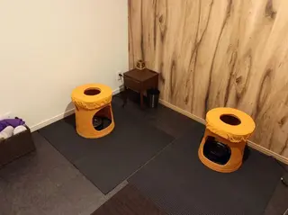 よもぎ蒸しエステサロン★yun所属・よもぎ蒸しサロン ゆんのエステ・リラクイメージ