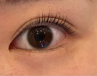 マツエク・マツパ Daisy lash 京橋店堀井のマツエク・マツパデザイン