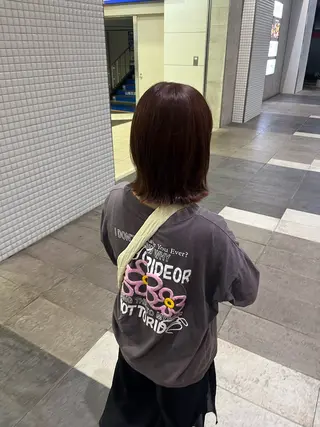 ミディアム 藤原 智恵のヘアスタイル