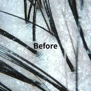 CALON銀座 極上のヘッドスパのヘアスタイル