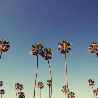 k. akiraのヘアスタイル