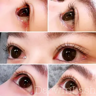 マツエク・マツパ まつげと眉毛のお店Sakura Lash【サクララッシュ】所属・【ダメージケア特化】 🌸 サクララッシュの眉毛・アイブロウイメージ