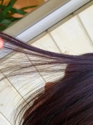 ショート カラー 木村 昇のヘアスタイル