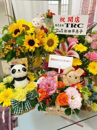 ショート カラー パーマ ヘアアレンジ メンズ キッズ ネイル マツエク・マツパ ‍痩身＆ボディ 結果出し🌟丹野のエステ・リラクイメージ