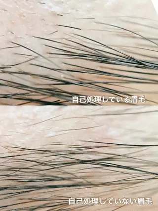 アイブロウ EYEBROWS🤍 Megumiの眉毛・アイブロウイメージ