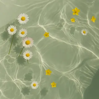 🦋MaaZlash 南流山FUKA🤍のマツエク・マツパデザイン